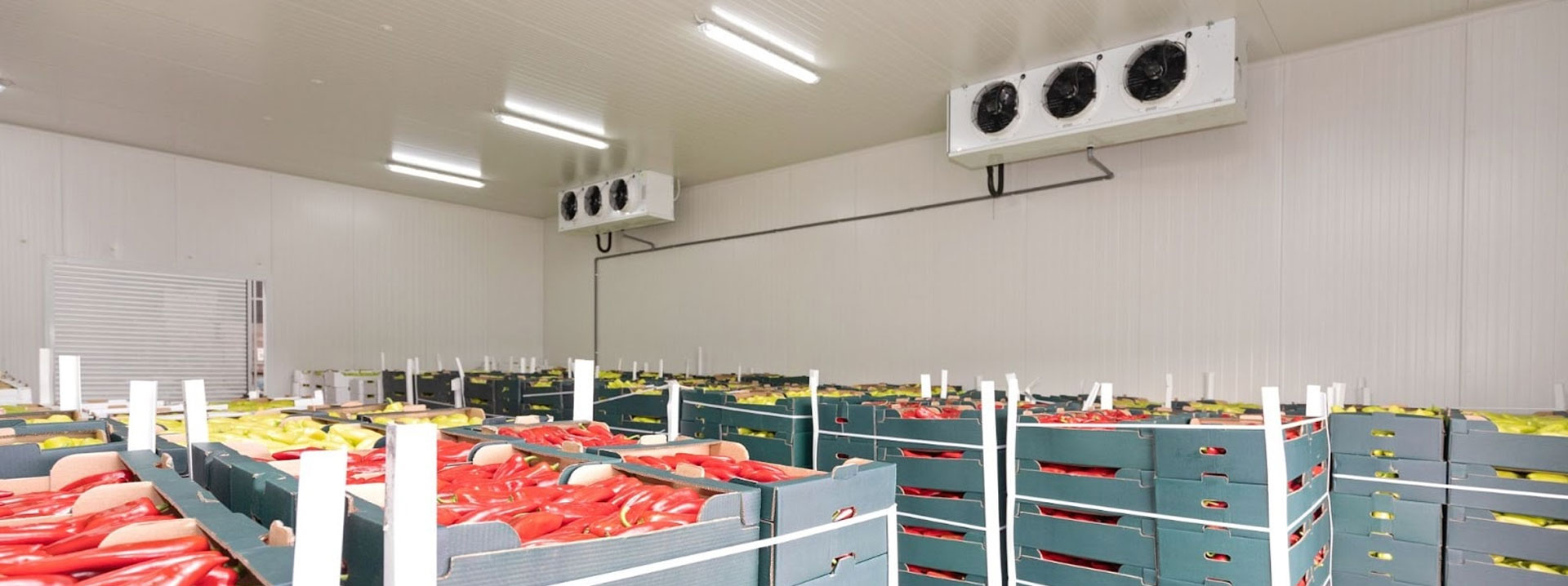 Soğuk Hava Depo Çözümleri